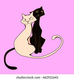 A pair of lovers of cats squinted with pleasure