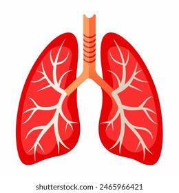 A pair of lungs is depicted as a cartoon on a plain white background