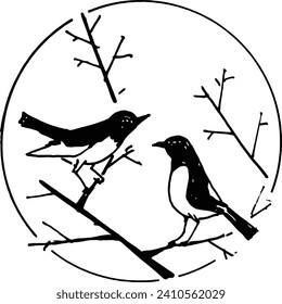 a pair of magpies on a branch