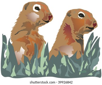 Pair of marmots gazing out from behind foliage.