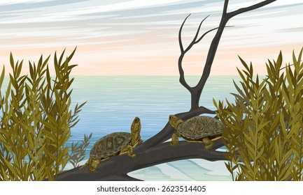 A pair of marsh turtles sit on a branch of a fallen tree on the shore of a lake. Realistic vector landscape