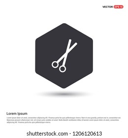 Pair of metal scissors icon Hexa White Background icon template - Free vector icon