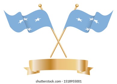 Pair of Micronesia flags for celebration.