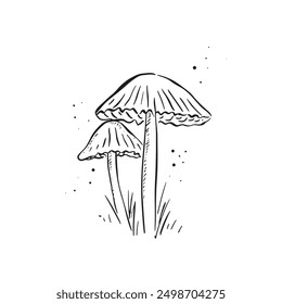 A pair of mushrooms illustrated in black with dots indicating morning dew around. Cute hand drawn illustration as a vector in black. Fungi, natural.