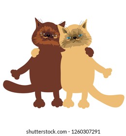 pair of nice cats on white backgroound 