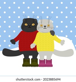 The pair of nice scottish cats in winter day