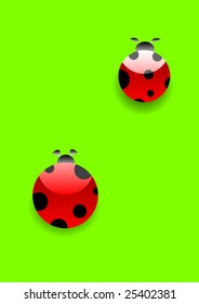 pair od ladybeetle