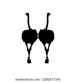 Pair of the Ostrich Silhouette for Logo, Pictogram, Art Illustration or Graphic Design Element. Vector Illustration
