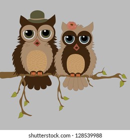 Pair of owls on branch