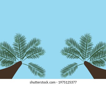 pair of palm tree on light blue background