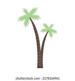 Palmenpaar auf Weiß