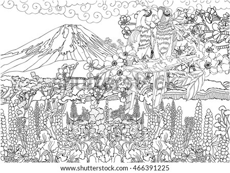 
 pair of parrots on a background of mountain scenery. Mountain in Japan. Lovers of parrots on a branch . Coloring pages 