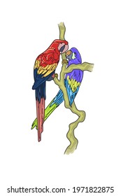 A pair of parrots on a branch. Drawing in vector. Bright picture. Illustration.