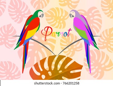 pair of parrots, tropical parrot bird icon image vector illustration design multi colored, isolated or whit floral summer pattern background