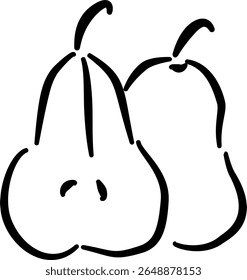 Pair of pears sketch for fruit label design natural product branding food-themed packagingVector illustration