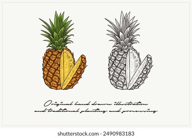 pair of pineapples illustration in engraving style