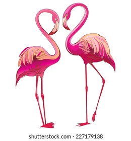 A pair of pink flamingos against a white background.