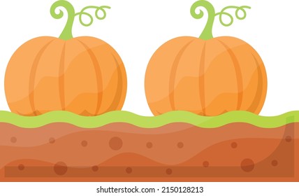 Pair of Pumpkins on the Ground Concept vector color icon design, Farming and Agriculture symbol, village life Sign, Rural and Livestock stock illustration