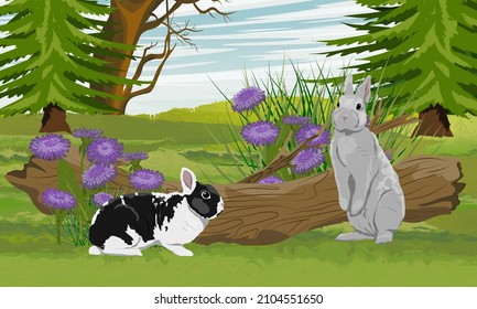 A pair of rabbits near the thickets of asters in the forest. Rabbits in the habitat. Realistic vector landscape