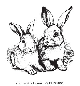 Pair of rabbits sketch, hand drawn in doodle style Vector illustration Farm