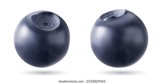 Pair of realistic 3D blueberries with smooth glossy texture, soft shading and light reflections. Sweet ripe natural food berries in different angles flying in air. Vector set of fresh raw fruit.