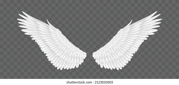 Pair of realistic angle wings isolated on transparent background. White feather fluffy wings of 3d bird or animal. Vector illustration