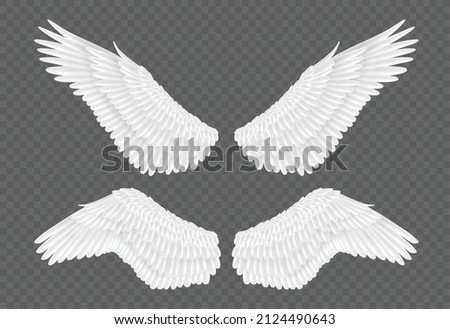 Pair of realistic wings on transparent background. White feather wings 3d for angel, bird or animal design, logo, emblem template. Vector illustration