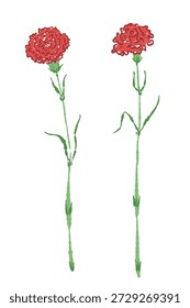 Paar rote Nelke Blumen Vektorgrafik