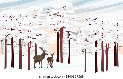 A pair of red deer walks through a winter forest with tall pines and snowdrifts. Wild animals in winter. Realistic vector landscape