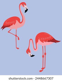 A pair of red flamingos, vector illustration of pink flamingos