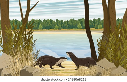 A pair of river otters on the river bank. Eurasian otter Lutra lutra, The Eurasian river otter. Realistic vector landscape