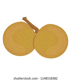 
A pair of round shaped fruit attached with each other by stem, cantaloupe
