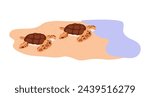 A pair of sea turtles on the beach. Vector illustration of juvenile turtles approaching the sea, capturing the crucial moment of their journey to the ocean.