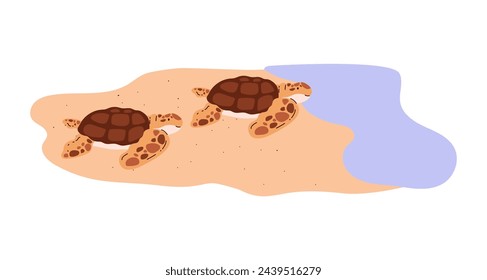 A pair of sea turtles on the beach. Vector illustration of juvenile turtles approaching the sea, capturing the crucial moment of their journey to the ocean.