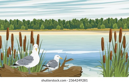 A pair of seagulls sits on a fallen tree on the river bank. Realistic vector landscape