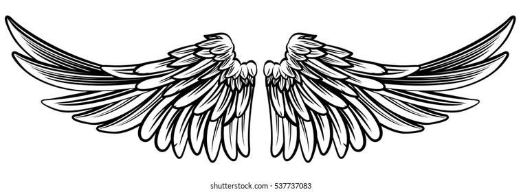 A pair set of spread out  eagle bird or angel wings 