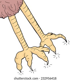 Pair of sharp bird claws over white background