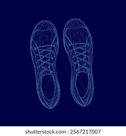 Pair of shoes in a blue background. The shoes are shown in a 3D format