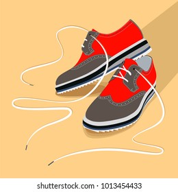 a pair of shoes with laces