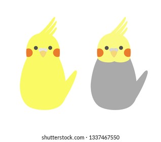 Pair of small simple parrot. Cute colorful cockatiels. Vector illustration.