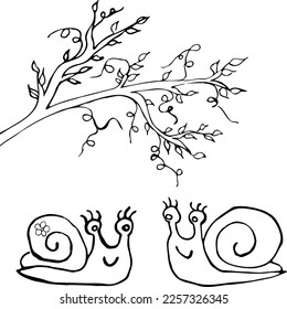 Pair of snails. Vector illustration isolated on white background.