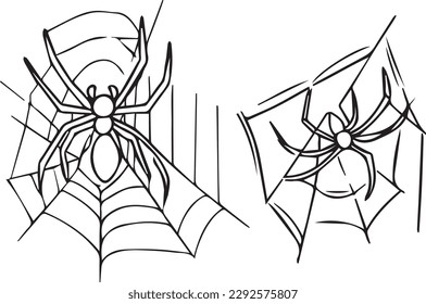 Pair of Spiders making web vector line art 