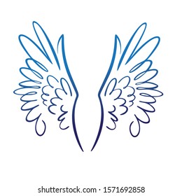 Pair of spread eagle or angel wings