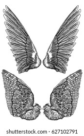 Pair of spread out eagle, falcon, hawk bird wings of different shape. Set of angel wings. Vector. 