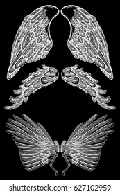 Pair of spread out eagle, falcon, hawk bird wings of different shape. Set of angel wings. Vector. 