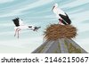 stork nest