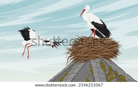 Similar – Image, Stock Photo White stork on roof ridge