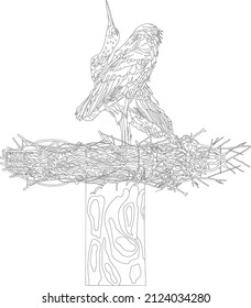 Un par de cigüeñas en un nido. Cigüeñas grises y blancas sobre fondo blanco. Ilustración vectorial, objetos de aislamiento.
