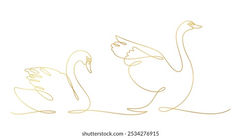 pair of swans in gold line art style