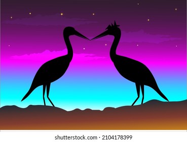 a pair of swans at night sleeping waiting for the day